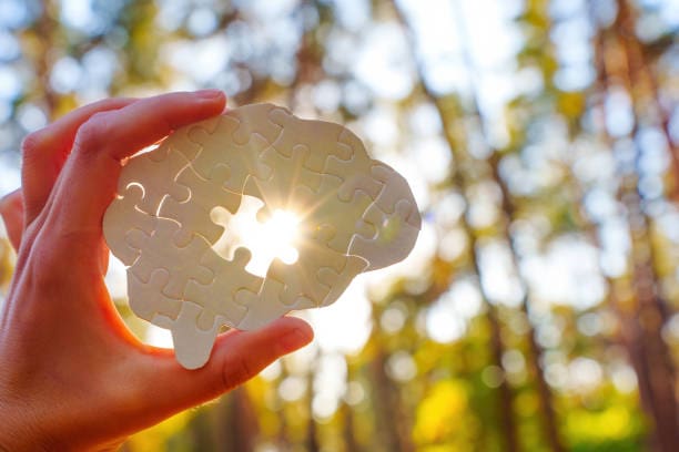 Hand holding a puzzle piece shaped like a brain, sunlight shining through in a forest setting.